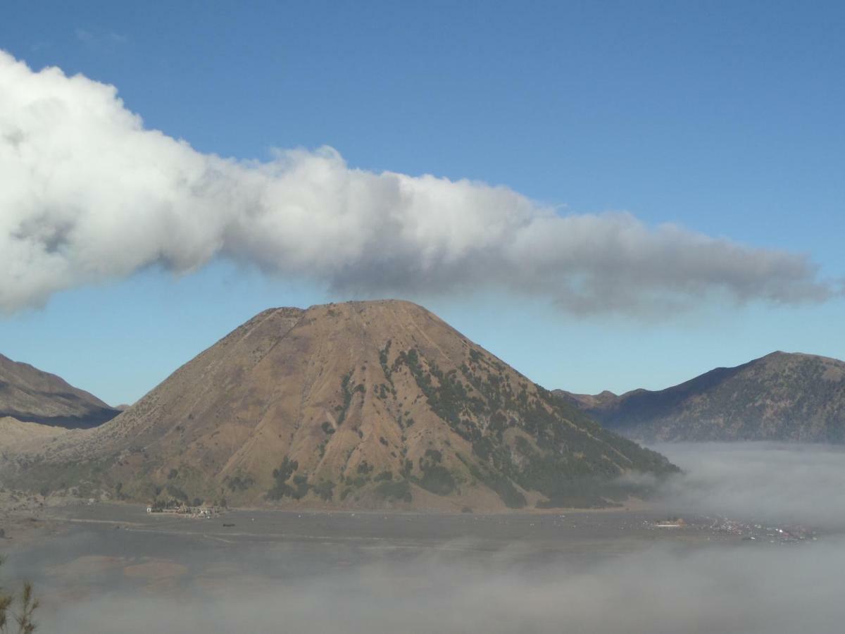 Tengger Indah Homestay Bromo Luaran gambar