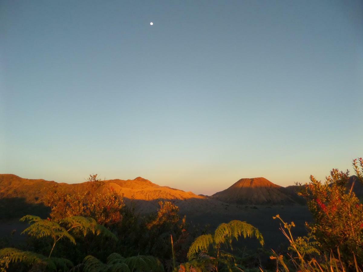 Tengger Indah Homestay Bromo Luaran gambar